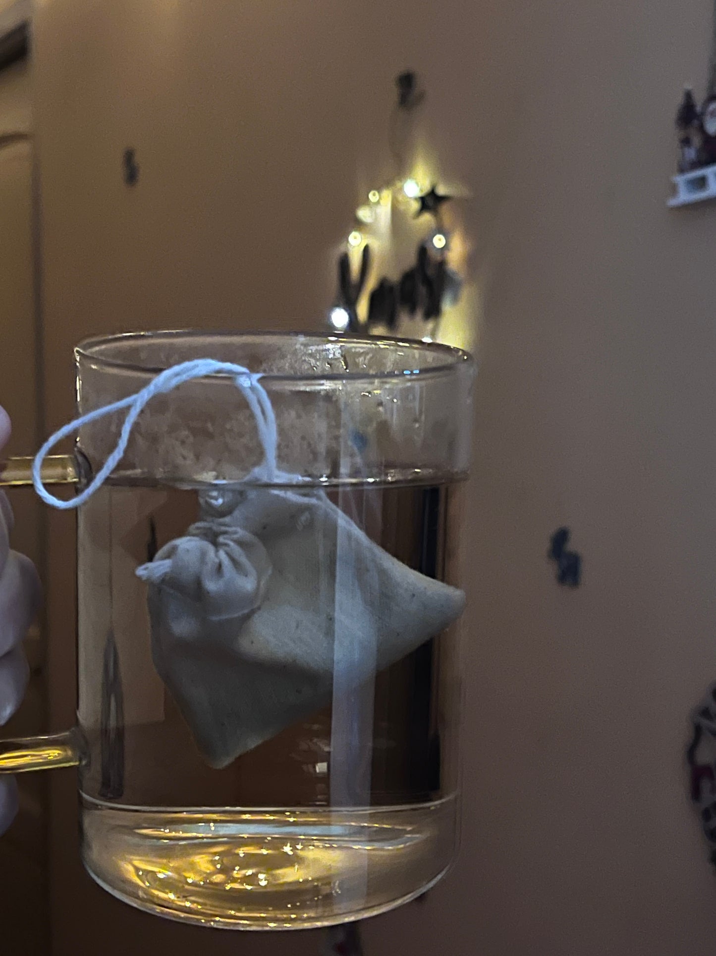 Infuseur réutilisable 100% coton